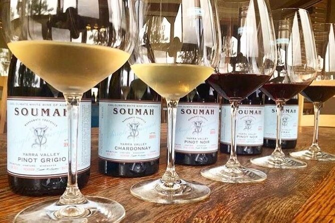 Yarra Valley Half-Day Winery Tour from Melbourne - Stop 1: Helen & Joey Estate and the Coldstream vibe