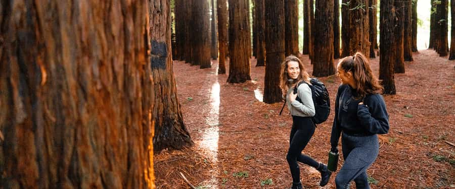 Yarra Valley | Redwoods, Wildlife, Wine, Chocolate - From Queen Victoria Market to the Yarra Valley: the easy start