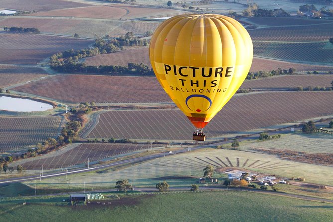 Yarra Valley sunrise balloon flight only - Quick Key Points You Should Know