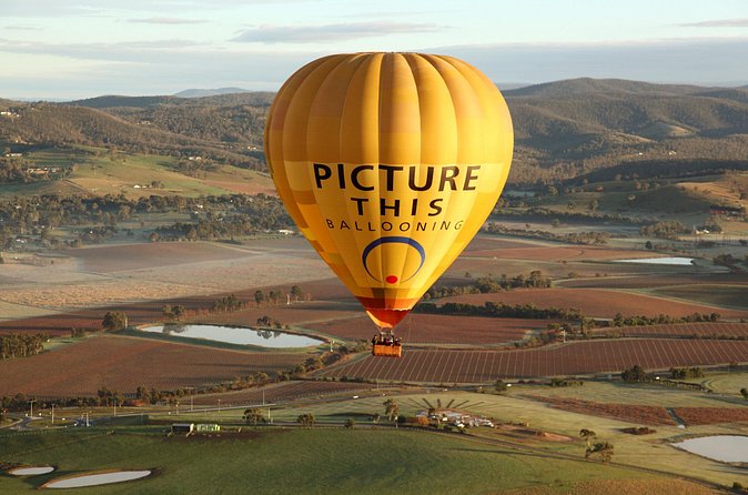 Yarra Valley sunrise balloon flight only - The Group Tour Reality: Up to 40 People, Still a Personal Morning
