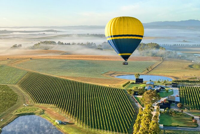 Yarra Valley Sunrise Balloon Flight with GoPro Photos - Breakfast at Balgownie Estate: the payoff after the flight