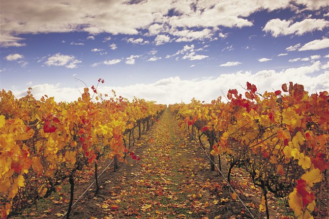 Yarra Valley Wildlife & Wine Day Tour with Healesville Sanctuary - De Bortoli Winery: cheese pairing and tastings on 450 acres