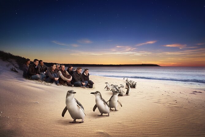 Yarra Valley Wildlife & Wine Day Tour with Healesville Sanctuary - Price and value: is $236.69 worth it?
