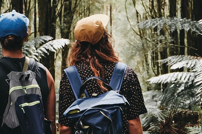 Yarra Valley Wildlife & Wine Day Tour with Healesville Sanctuary - Who this tour fits best