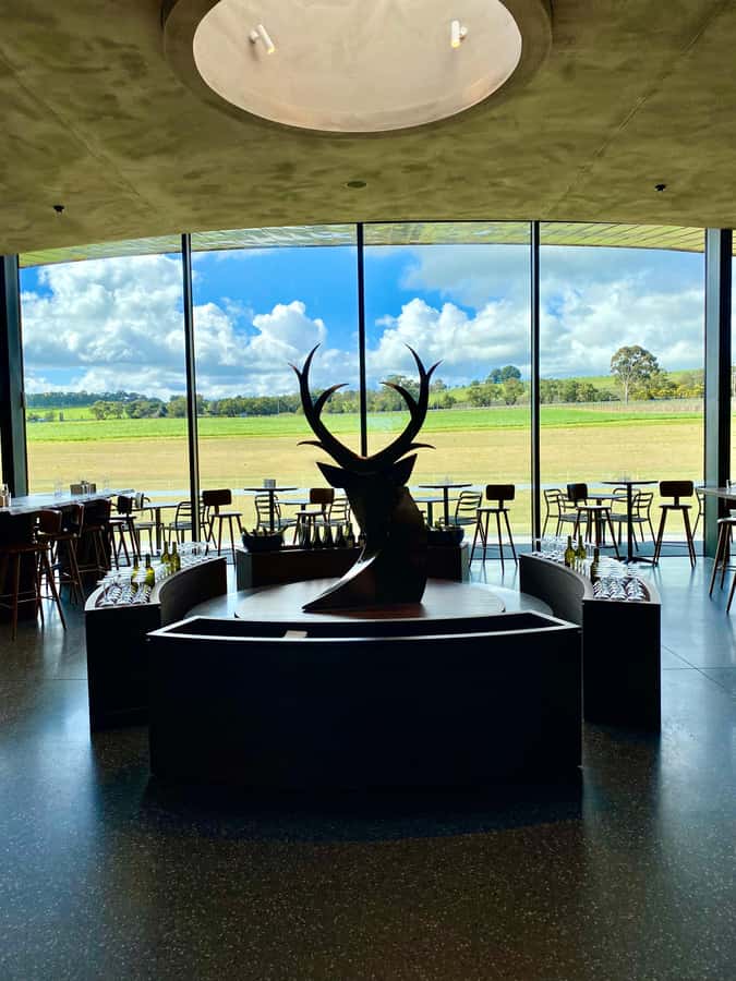 Yarra Valley: Wine and Chocolate tasting tour. - Wine styles you’ll taste (and how to stay sane with 10+ samples)