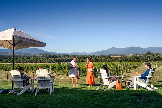 Yarra Valley wine and gin tour with Champagne Lunch at Chandon! - What you’ll remember most (quick hits)