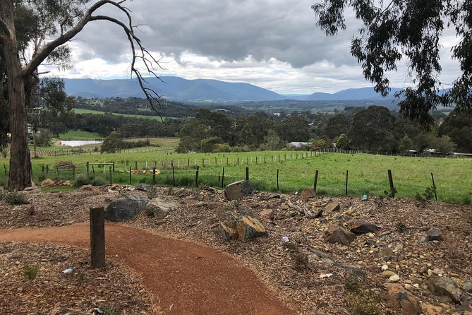 Yarra Valley Wine Tour inc lunch with a glass of wine, tastings and chocolate - How the Yarra Valley wine circuit keeps it stress-free
