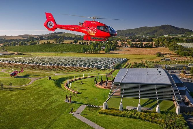 Yarra Valley Wine & Wildlife - Private Regional Tour - Behind Cellar Doors: Wine Tastings That Tell You What You’re Drinking