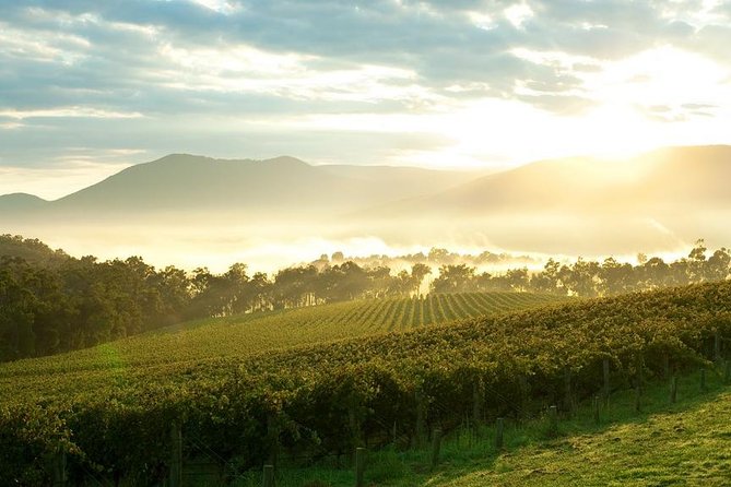 Yarra Valley Wine & Wildlife - Private Regional Tour - Lunch and Farm-to-Plate Choices: Eating Like a Local, Not Like a Schedule