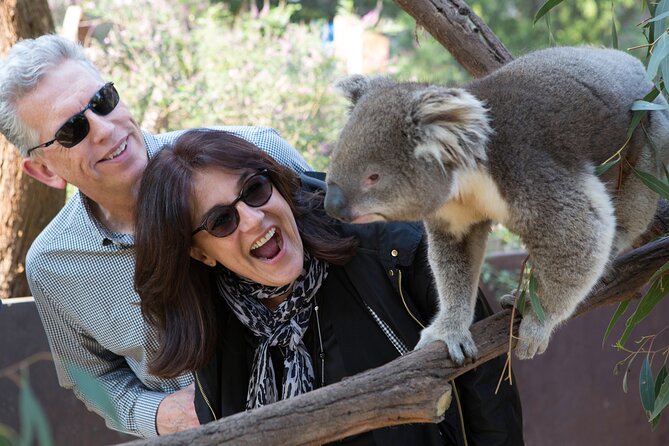 Yarra Valley Wine & Wildlife - Private Regional Tour - Price and Value: Is $767.45 Per Person Worth It?