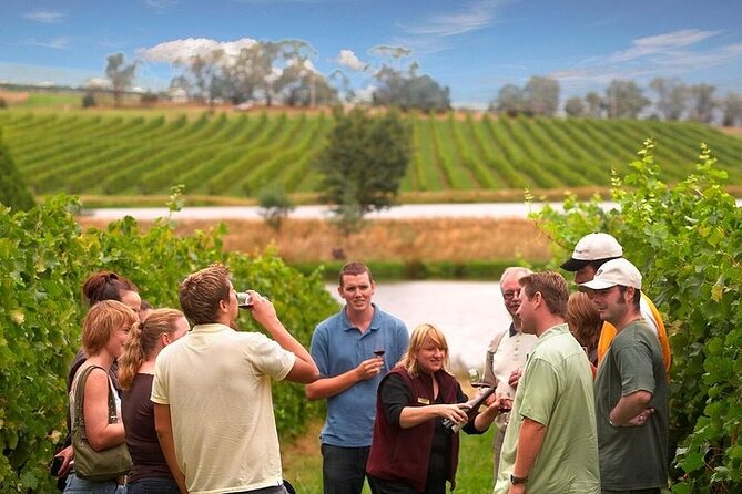 Yarra Valley Wine & Winery Tour from Melbourne - All Inclusive! - Key Highlights You’ll Actually Feel on This Tour