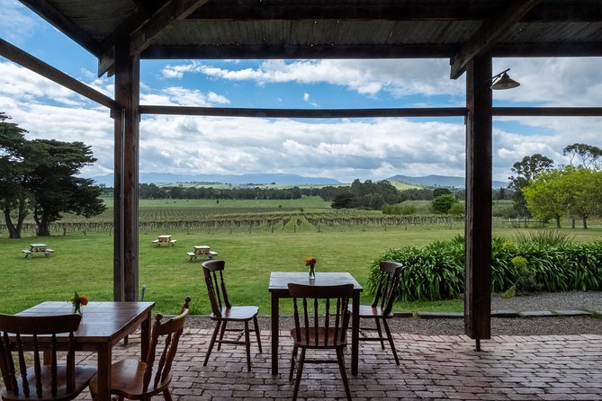 Yarra Valley Wine & Winery Tour from Melbourne - All Inclusive! - Stop 3: Yering Farm’s Hay Shed Cellar Door and Copper Winemaking Tools