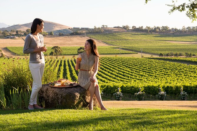 Yarra Valley Wineries Private Day Tour - Key highlights worth bookmarking