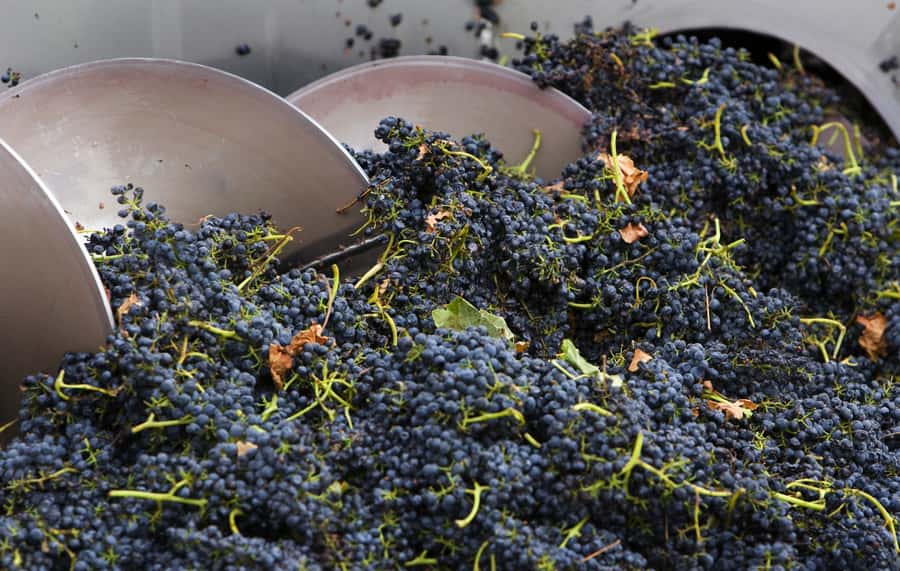 Yarra Valley: Winery Tour with Lunch at Yering Station - De Bortoli at Dixons Creek: a smart start with cheese + wine